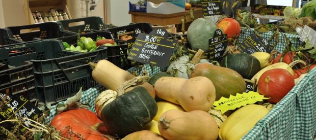 Le magasin - vente de légumes 